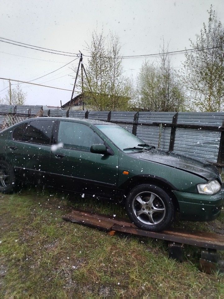 Nissan Primera: фото владельца