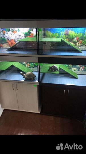 Аквариум для черепах