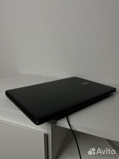 Acer extensa 2519