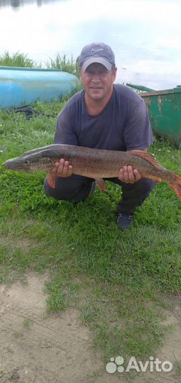 Платная рыбалка