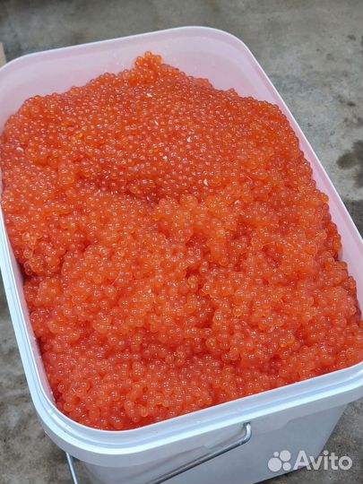 Красная икра до 26 мая