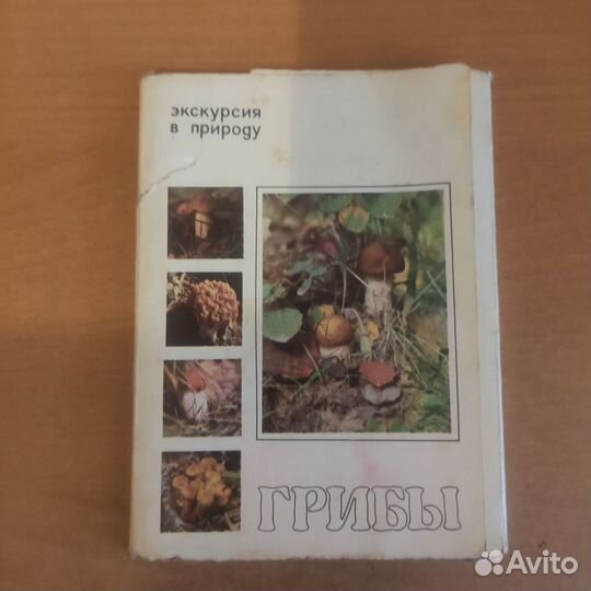 Набор открыток грибы 1980