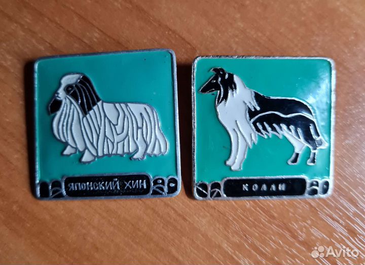 Значки колли и японский хин
