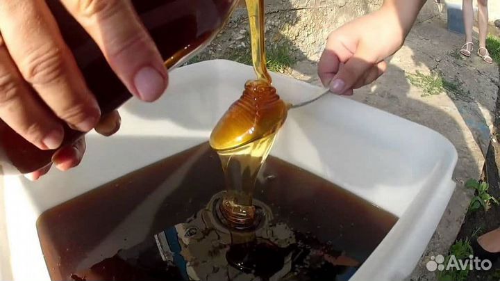 Оптом Алтайский мед гречишный