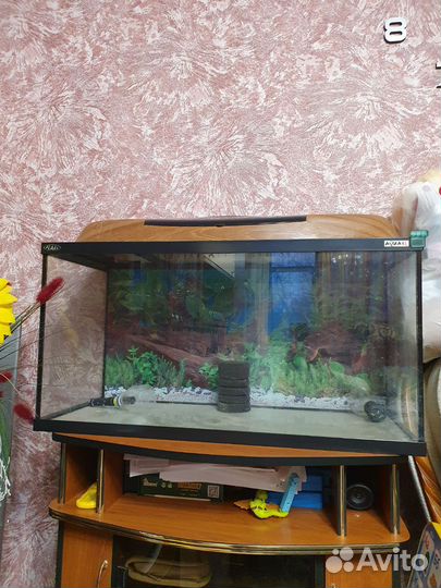 Аквариум 120 л
