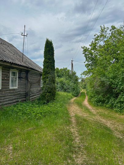 Участок 40 сот. (ИЖС)