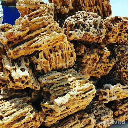 Камни Миотис, Ракушечник для аквариума и ландшафта