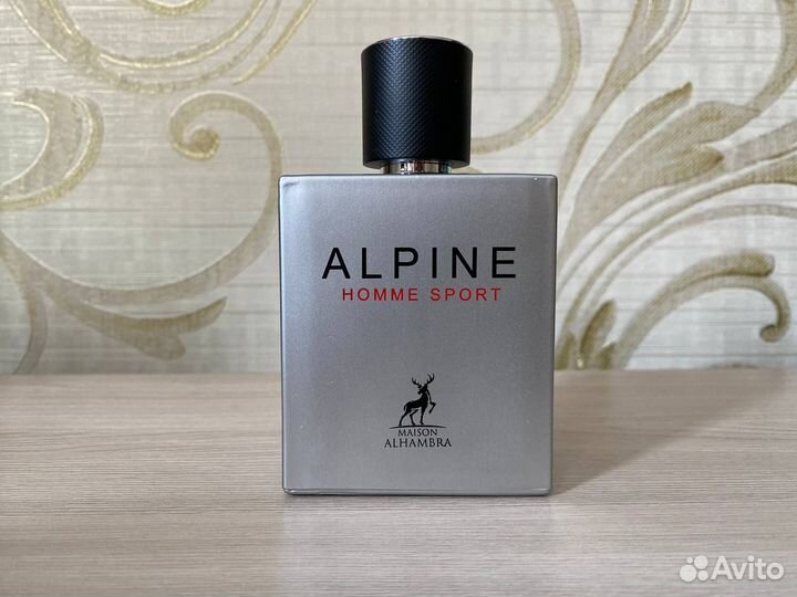 Alpine homme sport