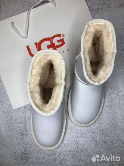 Ugg угги женские белые