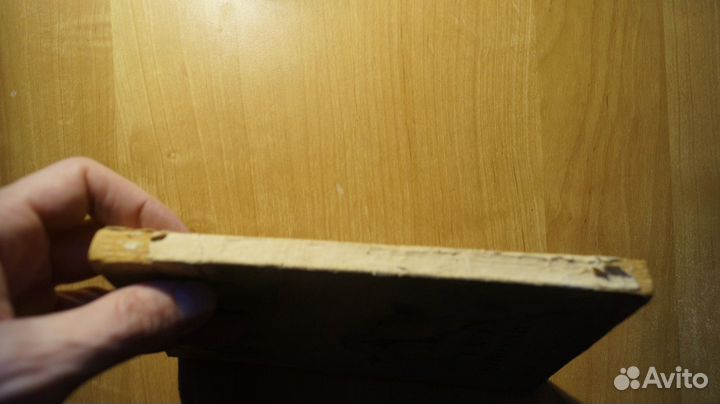 1586,2 Степанов П. А., Павлова Н. М. Колхозный сад