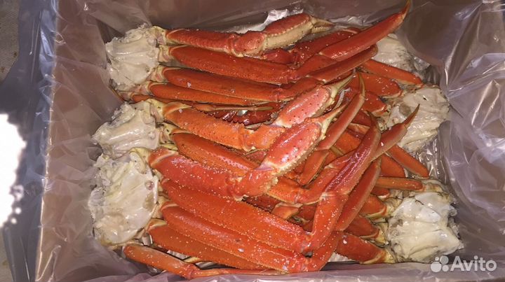 Морепродукты