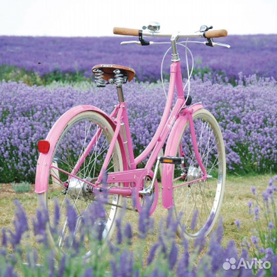 Велосипед Pashley Poppy