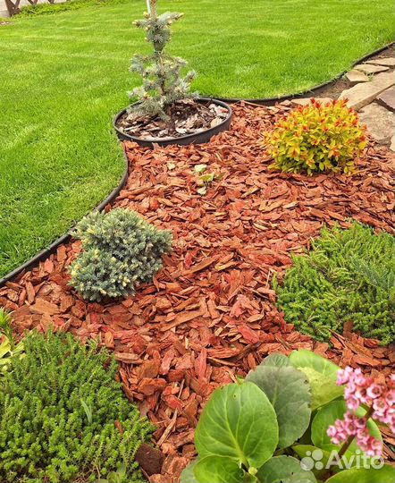 Свежая кора Байкальской лиственницы мульча