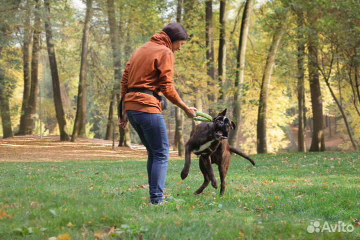 Кинолог зоопсихолог