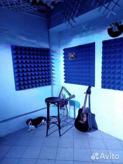 Акустический поролон пирамида 100