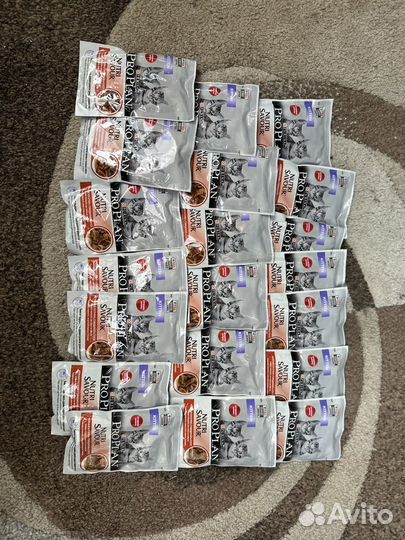 Проплан паучи котята