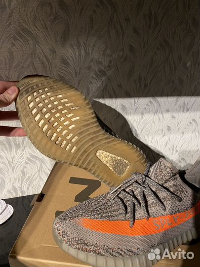 Adidas yeezy boost 350 v2 beluga reflective