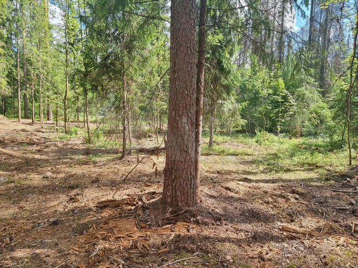 Участок 16 сот. (ИЖС)