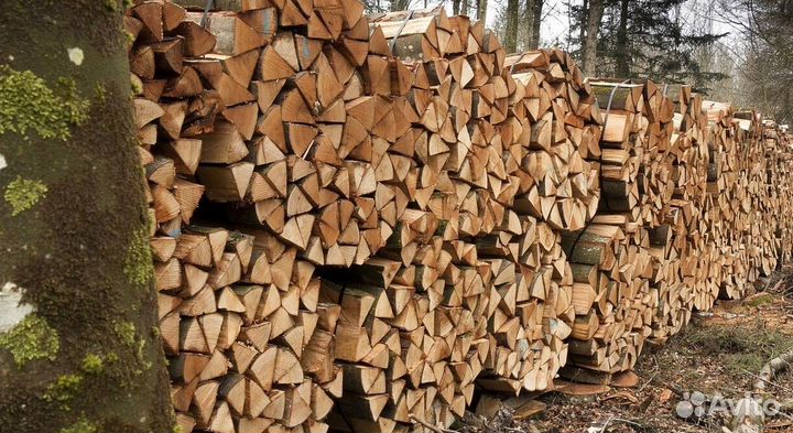Дрова в баню
