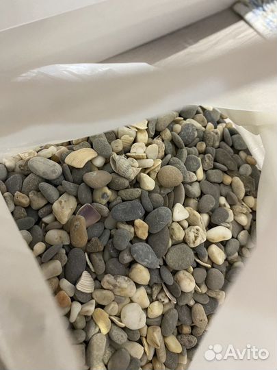 Морская галька