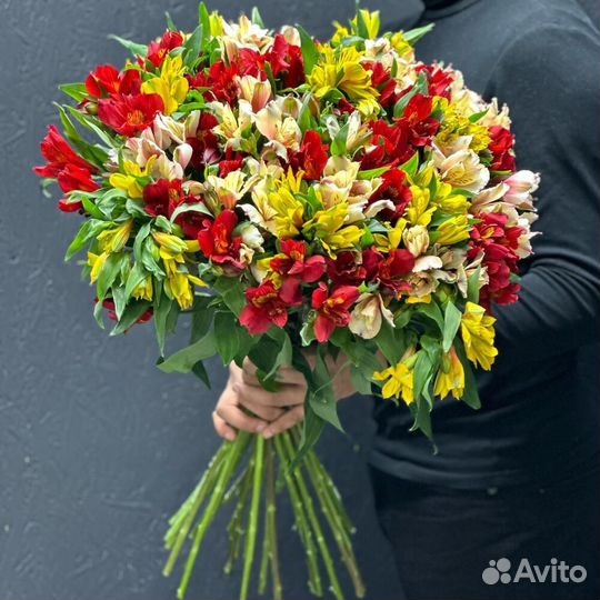 Альстромерия цветы с доставкой