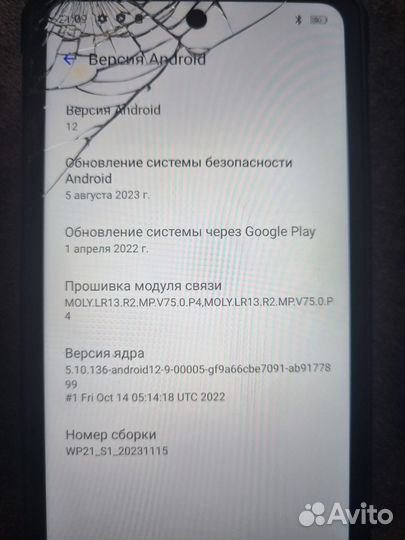 OUKITEL WP21, 12/256 ГБ