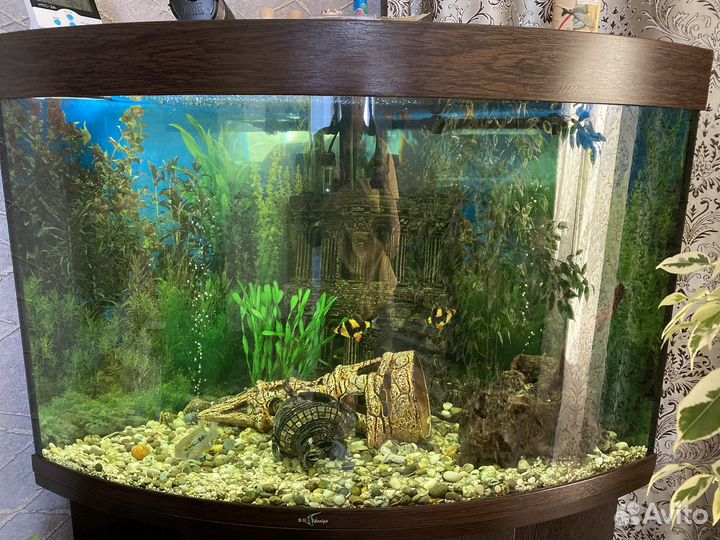 Продам аквариум