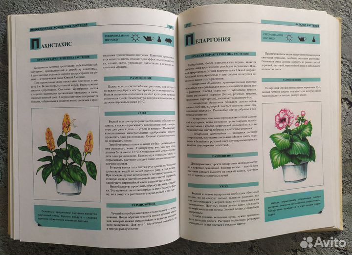 Книга Энциклопедия комнатных растений