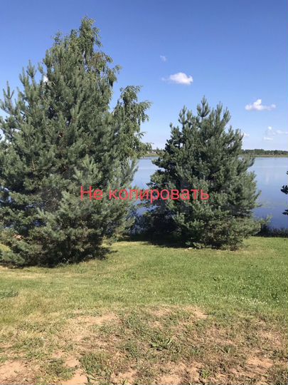 Участок 18 сот. (СНТ, ДНП)