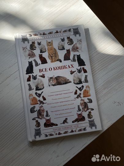 Книга. все о кошках