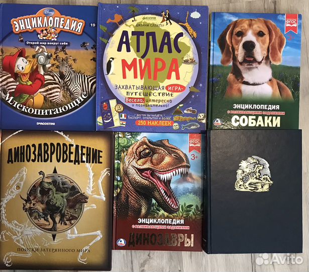 Познавательные книги, литература для детей