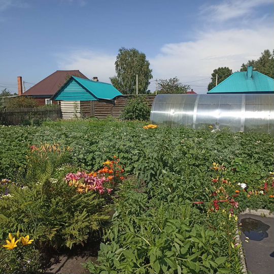 Дом 50 м² на участке 8 сот.