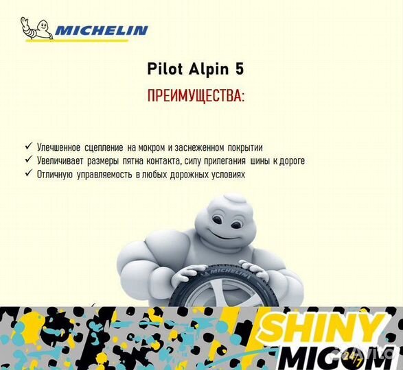 Michelin Pilot Alpin 5 SUV 225/65 R17 106H