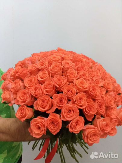 101 роза. 51, 25, любое количество