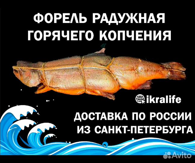 Рыба Форель радужная горячего копчения. сдэк