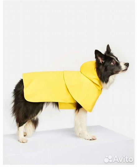 Дождевик для собаки