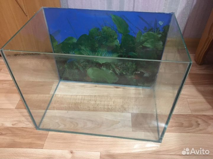 Аквариум