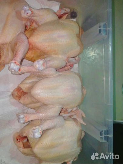 Мясо бройлера