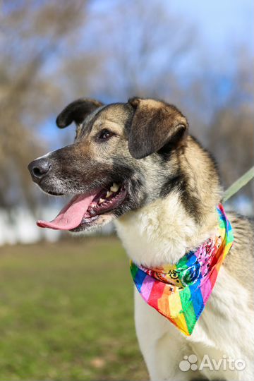 Лего бесплатно