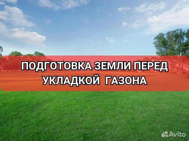 Укладка рулонного газона эконом