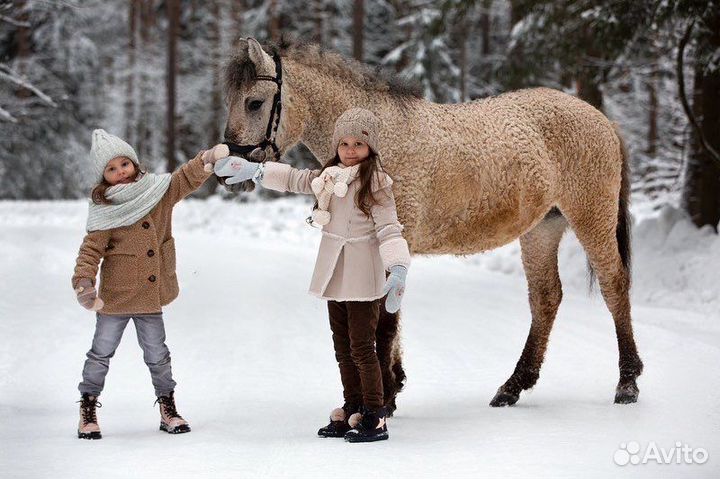Фотосессия с лошадью