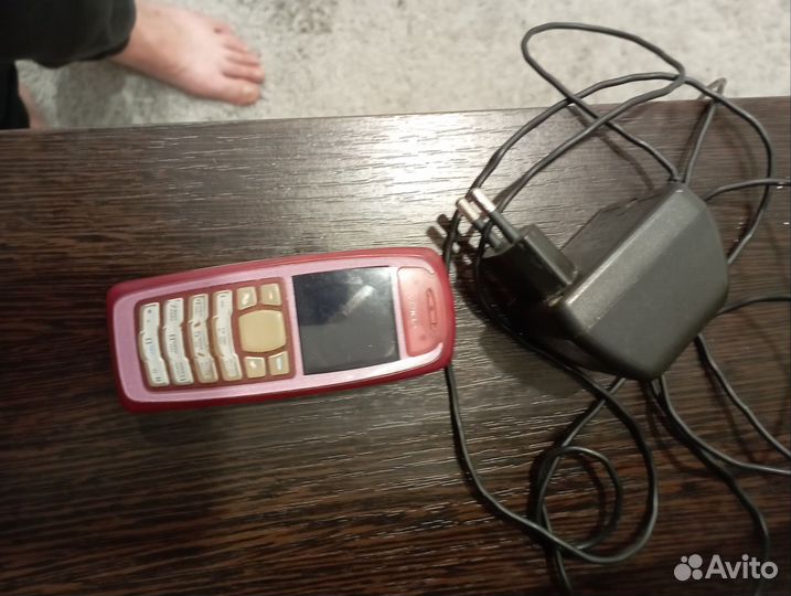 Nokia 3100