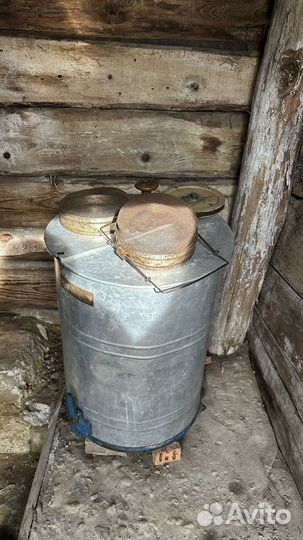 Пчелы пасека