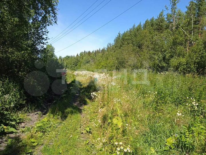 Участок 6,62 га (ИЖС)