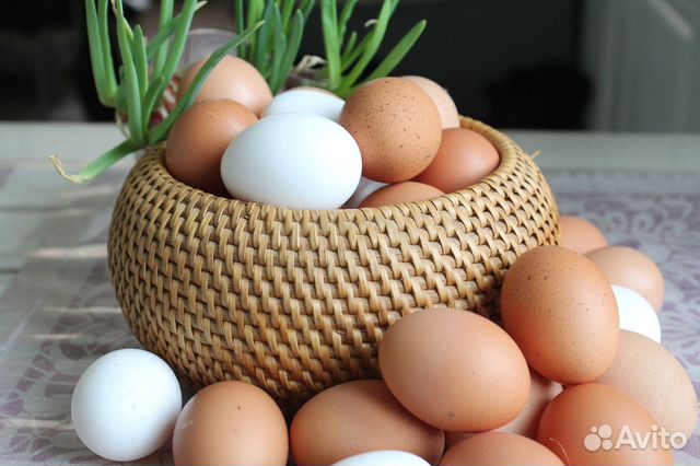 Яйцо домашнее куринное утиное свежее