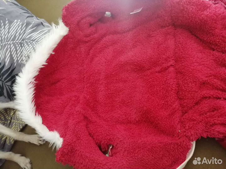 Дождевик для собаки средних пород