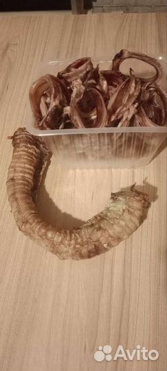 Лакомства для собак