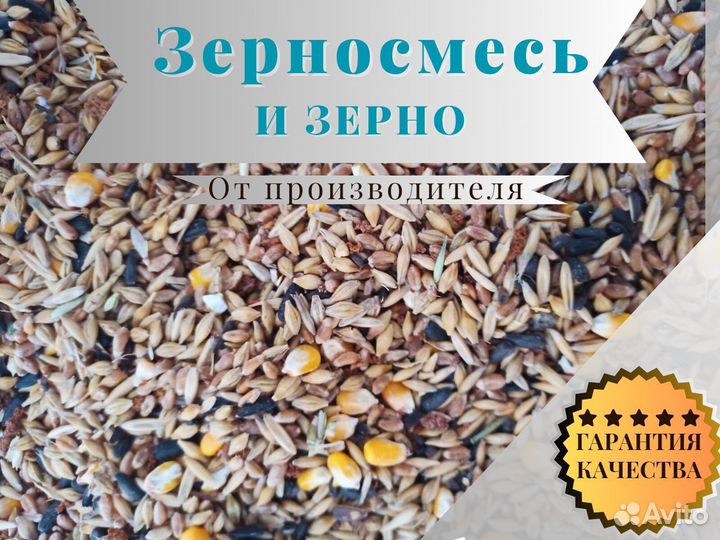 Зерно/ Зерносмесь