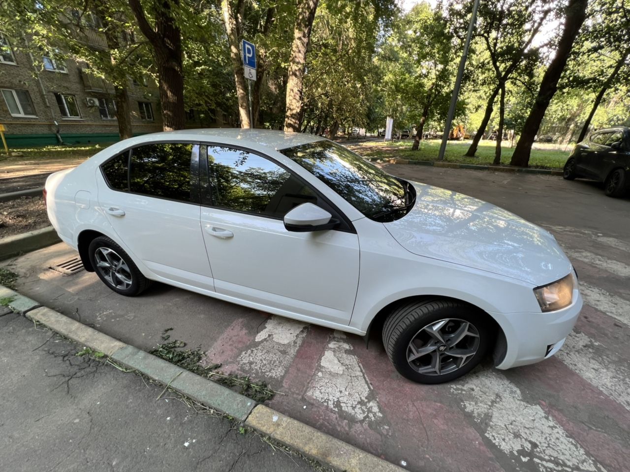 Skoda Octavia: фото владельца