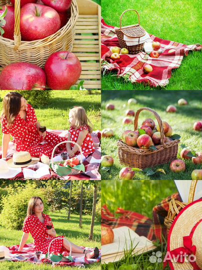 Фотодень 27 августа